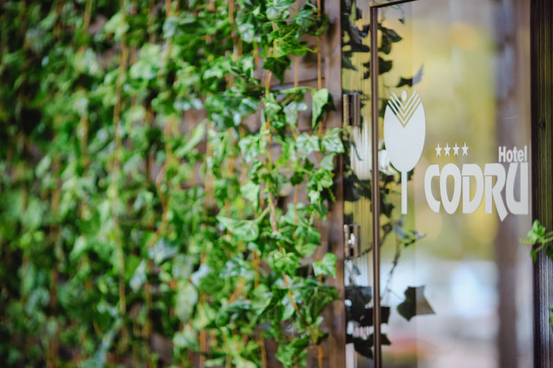 Codru Hotel Chisinau Eksteriør bilde